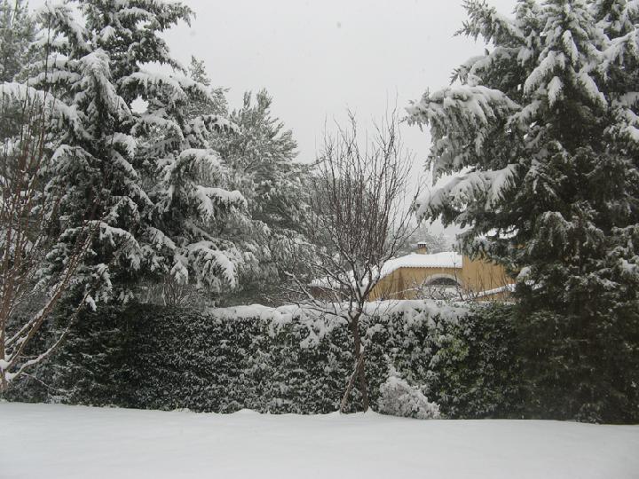 2009-01 004.JPG